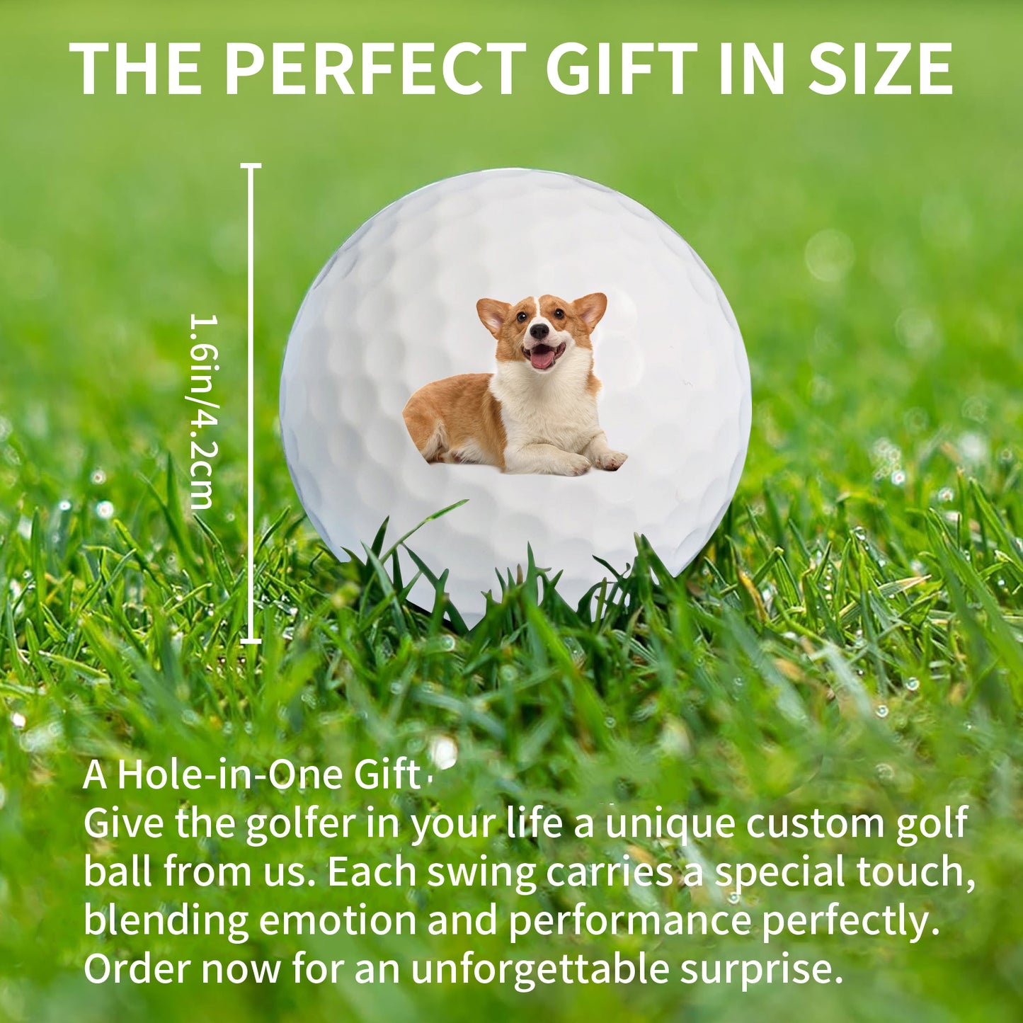 Personalized Golf Ball Gift, Custom Golf Ball, Personalized Text Funny Golf Balls